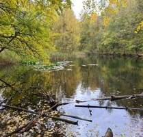 Modernes Reihenhaus mit Garten nahe Fischbeker Heide (Naturschutzgebiet) - Hamburg Neugraben-Fischbek
