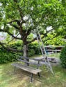 Bild8 - 