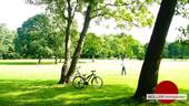 Luitpoldhain ums Eck - 