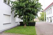 Vorgarten - 