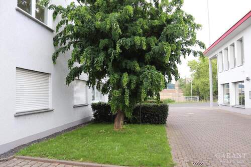 Vorgarten - 