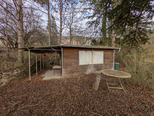 PXL_20251203_124943671 - 