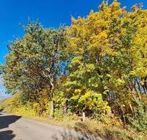 Noch eine freie Bauparzelle am Ortsrand von Pfaffendorf! - Rietz-Neuendorf / Pfaffendorf