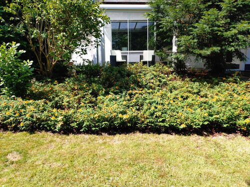 Blick in Wintergarten - 7 Zimmer Einfamilienhaus in Meerbusch