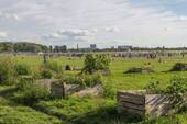 Nahegelegenes Tempelhofer Feld - 