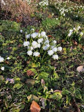 Bild 4 - Reihenmittelhaus mit 133,50 m&sup2; in Herrsching zum Kaufen