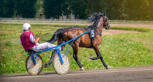 Trabrennbahn - 