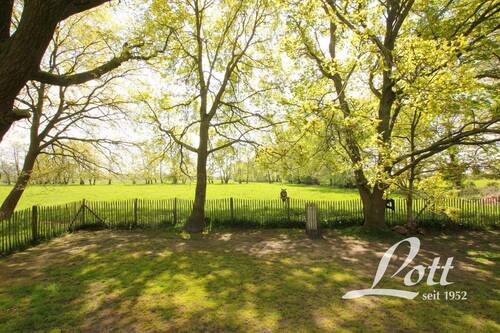 Blick auf die angrenzenden Wiesen - 