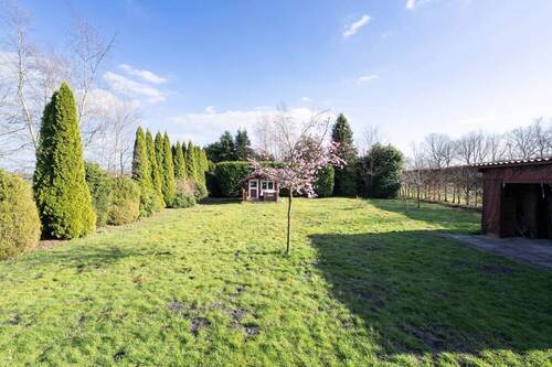 großzügiger Garten - 