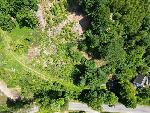 Ansicht vom gesamten Grundstück - 