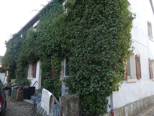 Bild 2 - 1 Zimmer Mehrfamilienhaus, Wohnhaus zum Kaufen in Heilsbronn