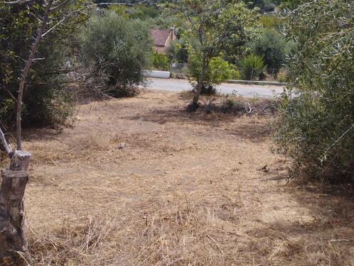 Sicht vom Grundstück zur Straße - Grundstück in Astrakeri
