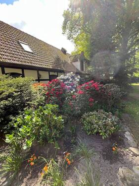 Vorgarten Wohnhaus 2 - 