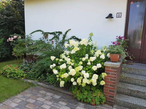 Eingangsbereich - 4 Zimmer Einfamilienhaus zum Kaufen in Hetlingen