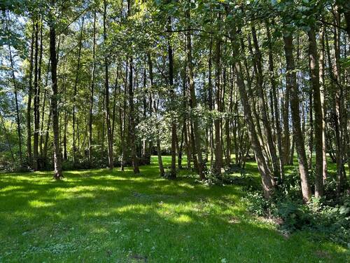 Grundstück - Grundstück zum Kaufen in Bremerhaven