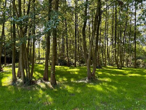 Grundstück - Grundstück in Bremerhaven