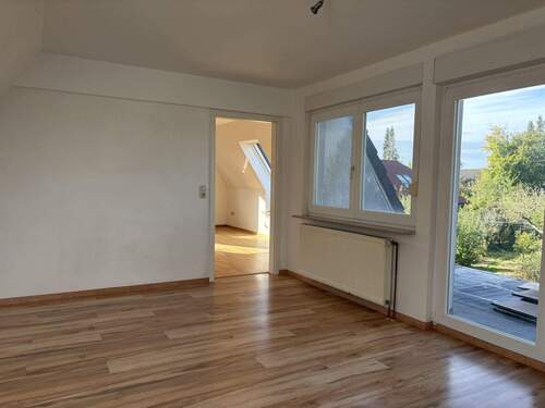 Zimmer DG - 