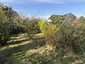 Blick in den Garten - 