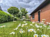 Bepflanzung - 