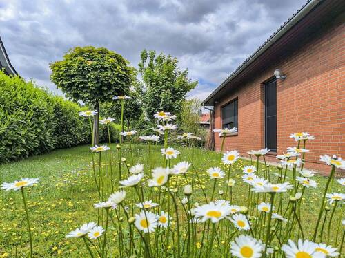 Bepflanzung - 