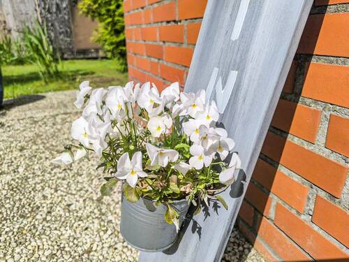 Bepflanzung - 