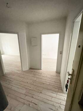 IMG_2762.jpeg - 