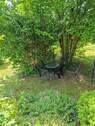 Gartenansicht - 