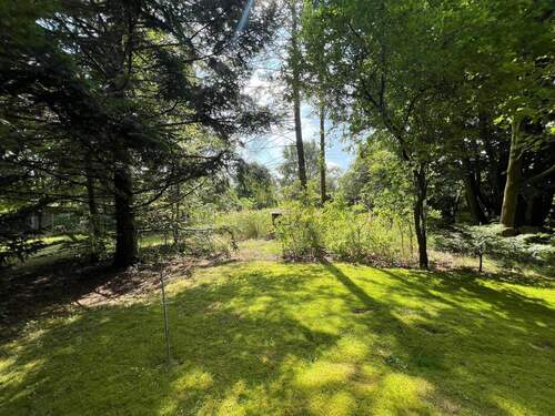 Hinterer Gartenbereich - 