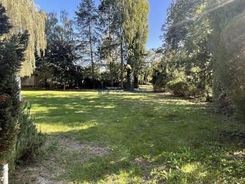 Großer Garten mit altem Baumbestand - 