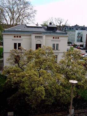 Ausblick strassenseitig - 