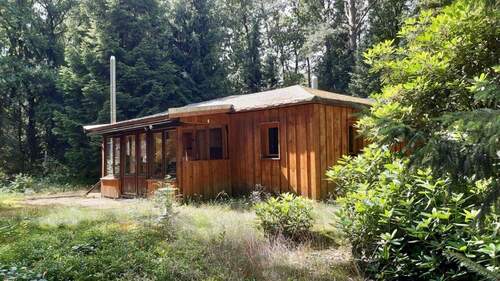 Grundstücksansicht - Landhaus in Schneverdingen Ortsteil Wintermoor zu verkaufen.