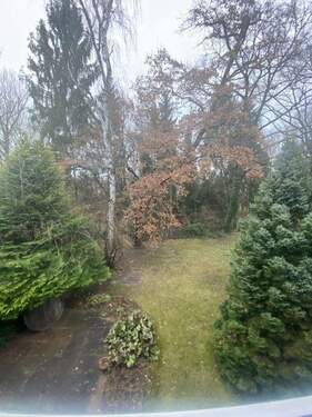 Blick vom Küchenfenster - 