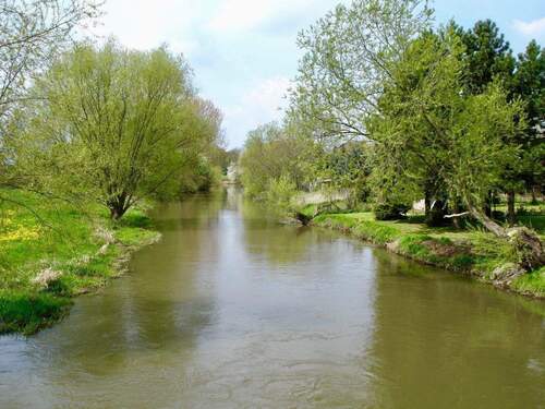 Die Elsteraue - ganz nah - 