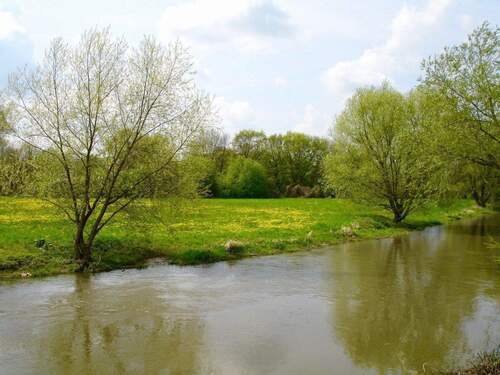 Elsteraue - 