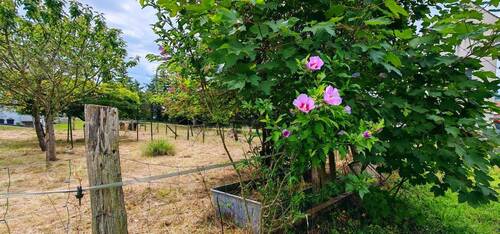 Baugrundstück RümmingenDHH2 - Baugrundstück in Rümmingen +++ Rösch Immobilien Weil am Rhein +++