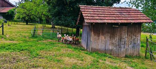 Baugrundstück RümmingenDHH1 - Grundstück in Rümmingen zum Kaufen