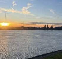 Idylle am Elbdeich: Topgepflegtes Wohnhaus m. 2 Apartments - Hamburg Ochsenwerder