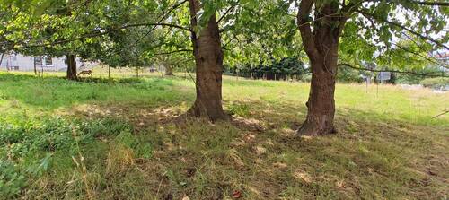 Baugrundstück Rümmingen 12001 - Grundstück zum Kaufen in Rümmingen