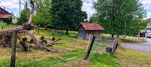 Baugrundstück Rümmingen 1200 - 