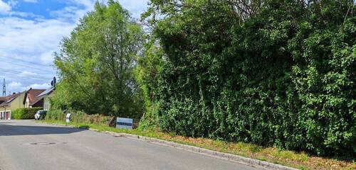 Baugrundstück Rümmingen 12003 - 