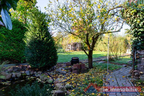 grüner Garten - 
