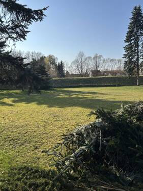 Grundstück - Grundstück in Küps zum Kaufen