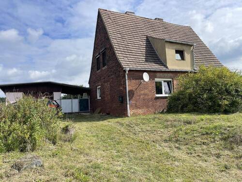 Südseite - 5 Zimmer Einfamilienhaus zum Kaufen in Lutherstadt Wittenberg