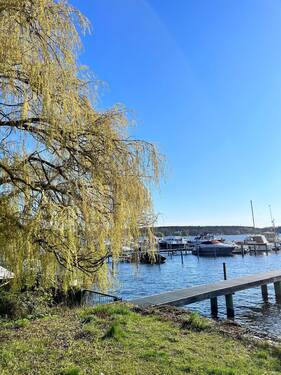 IMG_4431.jpg - 