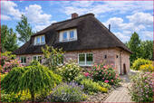 Ansicht - 