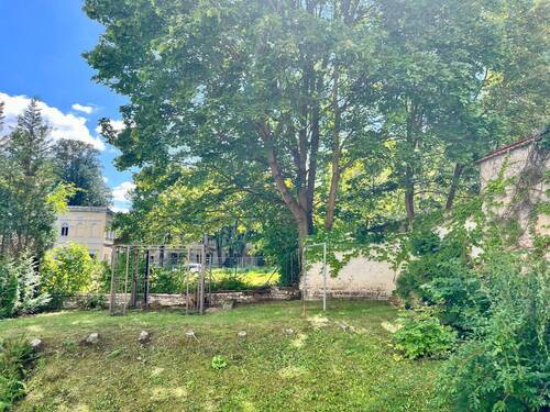 Grüner Innenhof mit Baum - 