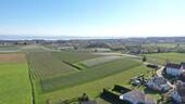 unweit vom Bodensee - 
