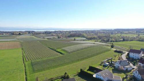 unweit vom Bodensee - 