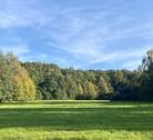 Acker-Wiesengrundstück - 