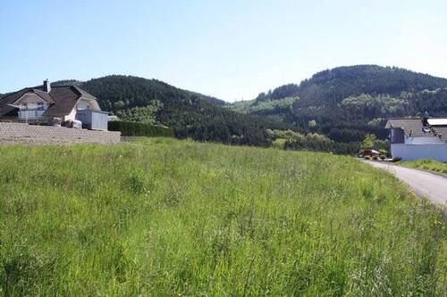 Grundstück - Grundstück zum Kaufen in Bad Laasphe